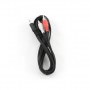 Cablexpert | Audio cable | Male | RCA x 2 | Mini-phone stereo 3.5 mm | 2.5 m - 3